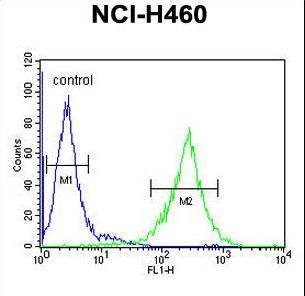 C2orf51 Antibody flow cytometry of NCI-H460 cells (right histogram) compared to a negative control cell (left histogram). FITC-conjugated goat-anti-rabbit secondary antibodies were used for the analysis.
