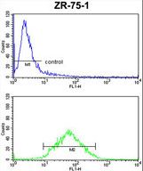 PXMP4 Antibody FC of ZR-75-1 cells (bottom histogram) compared to a negative control cell (top histogram). FITC-conjugated goat-anti-rabbit secondary antibodies were used for the analysis.