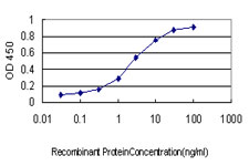 Detection limit for recombinant GST tagged TGIF is approximately 0.1 ng/ml as a capture antibody.