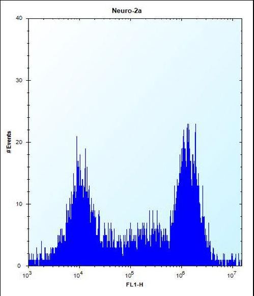 TGIF2 Antibody flow cytometry of Neuro-2a cells (right histogram) compared to a negative control cell (left histogram). FITC-conjugated donkey-anti-rabbit secondary antibodies were used for the analysis.