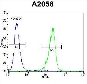 TIMP1 Antibody flow cytometry of A2058 cells (right histogram) compared to a negative control cell (left histogram). FITC-conjugated goat-anti-rabbit secondary antibodies were used for the analysis.