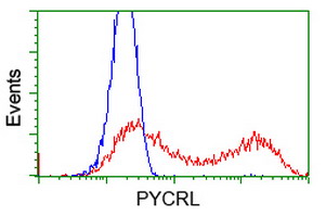 HEK293T cells transfected with either overexpress plasmid (Red) or empty vector control plasmid (Blue) were immunostained by anti-PYCRL antibody, and then analyzed by flow cytometry.