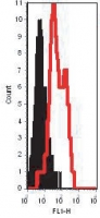 Flow cytometric analysis in permeabilized TLR12 transfected cells (open) and irrelevant transfected cells (shaded) using antibody at 5 ug/10^6 cells.