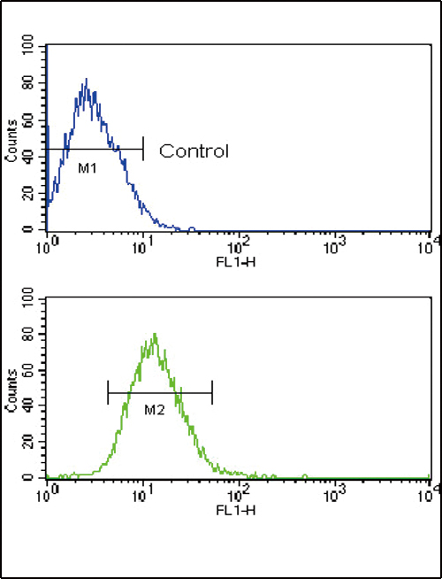 Flow cytometric of CEM cells using TLR2 Antibody (bottom histogram) compared to a negative control cell (top histogram). FITC-conjugated goat-anti-rabbit secondary antibodies were used for the analysis.