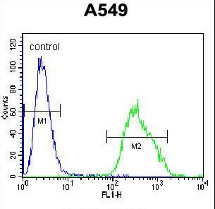 PALM3 Antibody flow cytometry of A549 cells (right histogram) compared to a negative control cell (left histogram). FITC-conjugated goat-anti-rabbit secondary antibodies were used for the analysis.
