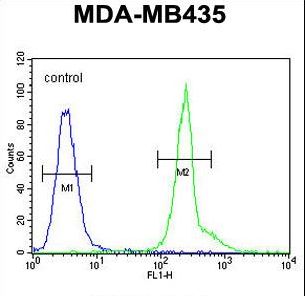 KPRA Antibody flow cytometry of MDA-MB435 cells (right histogram) compared to a negative control cell (left histogram). FITC-conjugated goat-anti-rabbit secondary antibodies were used for the analysis.