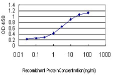 Detection limit for recombinant GST tagged MEFV is approximately 0.1 ng/ml as a capture antibody.