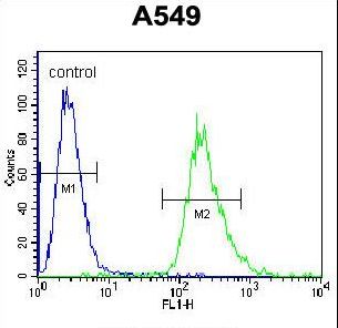 PRR19 Antibody flow cytometry of A549 cells (right histogram) compared to a negative control cell (left histogram). FITC-conjugated goat-anti-rabbit secondary antibodies were used for the analysis.
