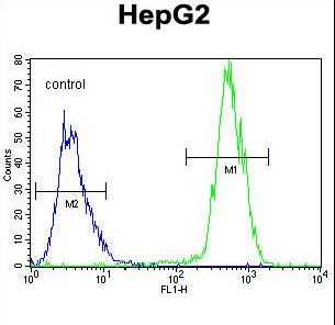 PRRT1 Antibody flow cytometry of HepG2 cells (right histogram) compared to a negative control cell (left histogram). FITC-conjugated goat-anti-rabbit secondary antibodies were used for the analysis.