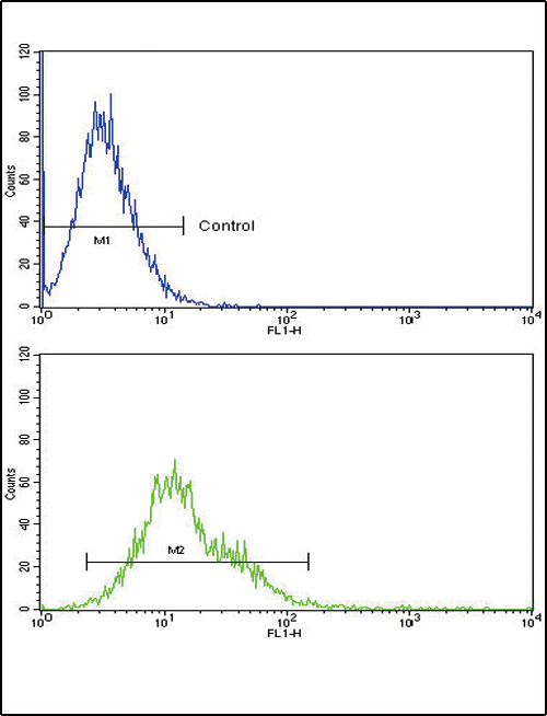 RAC2 Antibody flow cytometry of k562 cells (bottom histogram) compared to a negative control cell (top histogram). FITC-conjugated goat-anti-rabbit secondary antibodies were used for the analysis.