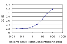 Detection limit for recombinant GST tagged RAD1 is approximately 0.3 ng/ml as a capture antibody.
