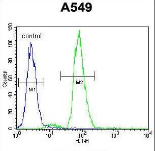 RAD17 Antibody flow cytometry of A549 cells (right histogram) compared to a negative control cell (left histogram). FITC-conjugated goat-anti-rabbit secondary antibodies were used for the analysis.