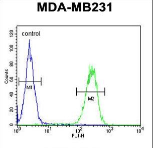 PRSS3 Antibody flow cytometry of MDA-MB231 cells (right histogram) compared to a negative control cell (left histogram). FITC-conjugated goat-anti-rabbit secondary antibodies were used for the analysis.
