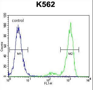 ESSPL Antibody flow cytometry of K562 cells (right histogram) compared to a negative control cell (left histogram). FITC-conjugated goat-anti-rabbit secondary antibodies were used for the analysis.