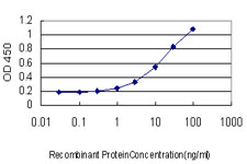 Detection limit for recombinant GST tagged RALB is approximately 0.3 ng/ml as a capture antibody.
