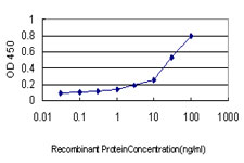 Detection limit for recombinant GST tagged RALGDS is approximately 0.1 ng/ml as a capture antibody.
