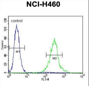 UNQ9391 Antibody flow cytometry of NCI-H460 cells (right histogram) compared to a negative control cell (left histogram). FITC-conjugated goat-anti-rabbit secondary antibodies were used for the analysis.