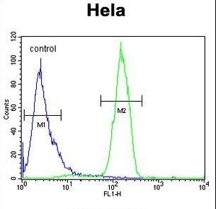 C13orf3 Antibody flow cytometry of HeLa cells (right histogram) compared to a negative control cell (left histogram). FITC-conjugated goat-anti-rabbit secondary antibodies were used for the analysis.
