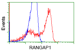 HEK293T cells transfected with either overexpress plasmid (Red) or empty vector control plasmid (Blue) were immunostained by anti-RANGAP1 antibody, and then analyzed by flow cytometry.