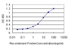 Detection limit for recombinant GST tagged RAPGEF1 is approximately 0.1 ng/ml as a capture antibody.