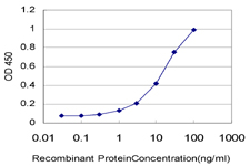 Detection limit for recombinant GST tagged RASEF is approximately 0.3 ng/ml as a capture antibody.