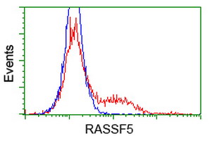 HEK293T cells transfected with either overexpress plasmid (Red) or empty vector control plasmid (Blue) were immunostained by anti-RASSF5 antibody, and then analyzed by flow cytometry.