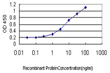 Detection limit for recombinant GST tagged RBM9 is approximately 0.1 ng/ml as a capture antibody.
