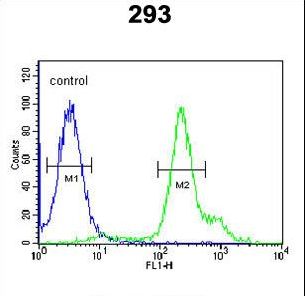RBM24 Antibody flow cytometry of 293 cells (right histogram) compared to a negative control cell (left histogram). FITC-conjugated goat-anti-rabbit secondary antibodies were used for the analysis.