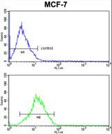 RBM3 Antibody FC of MCF-7 cells (bottom histogram) compared to a negative control cell (top histogram). FITC-conjugated goat-anti-rabbit secondary antibodies were used for the analysis.