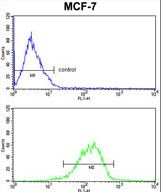 RBM3 Antibody FC of MCF-7 cells (bottom histogram) compared to a negative control cell (top histogram). FITC-conjugated goat-anti-rabbit secondary antibodies were used for the analysis.