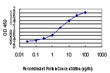 Detection limit for recombinant GST tagged RNPC2 is approximately 0.03 ng/ml as a capture antibody.