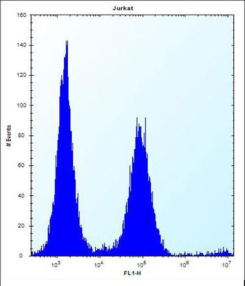PSAPL1 Antibody flow cytometry of Jurkat cells (right histogram) compared to a negative control cell (left histogram). FITC-conjugated donkey-anti-rabbit secondary antibodies were used for the analysis.