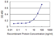 Detection limit for recombinant GST tagged RBMY1A1 is 1 ng/ml as a capture antibody.
