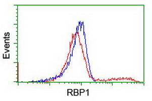 HEK293T cells transfected with either overexpress plasmid (Red) or empty vector control plasmid (Blue) were immunostained by anti-RBP1 antibody, and then analyzed by flow cytometry.