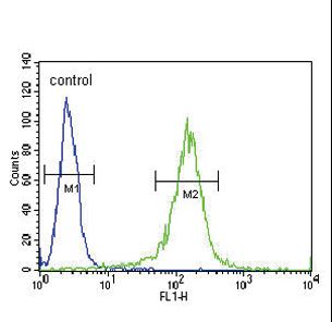 RDH10 Antibody flow cytometry of NCI-H460 cells (right histogram) compared to a negative control cell (left histogram). FITC-conjugated goat-anti-rabbit secondary antibodies were used for the analysis.