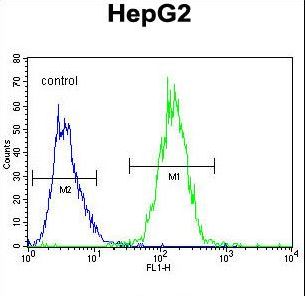 RDH13 Antibody flow cytometry of HepG2 cells (right histogram) compared to a negative control cell (left histogram). FITC-conjugated goat-anti-rabbit secondary antibodies were used for the analysis.