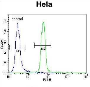 Presenilin 1 (PSEN1) Antibody flow cytometry of HeLa cells (right histogram) compared to a negative control cell (left histogram). FITC-conjugated goat-anti-rabbit secondary antibodies were used for the analysis.