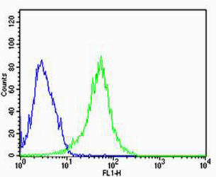 Flow cytometric of HepG2 cells with REG3A Antibody (green) compared to an isotype control of rabbit IgG (blue). Antibody was diluted at 1:25 dilution. An Alexa Fluor 488 goat anti-rabbit lgG at 1:400 dilution was used as the secondary antibody.
