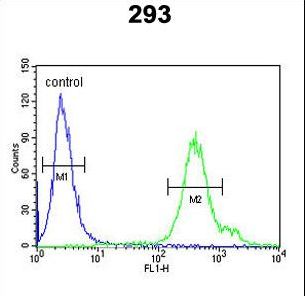 REG3A Antibody flow cytometry of 293 cells (right histogram) compared to a negative control cell (left histogram). FITC-conjugated goat-anti-rabbit secondary antibodies were used for the analysis.