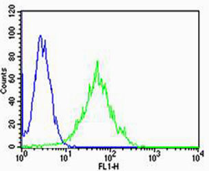 Flow cytometric of HeLa cells with PSEN2 (Presenilin-2 NTF subunit) Antibody (green) compared to an isotype control of rabbit IgG (blue). Antibody was diluted at 1:25 dilution. An Alexa Fluor 488 goat anti-rabbit lgG at 1:400 dilution was used as the secondary antibody.