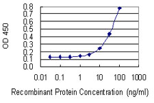Detection limit for recombinant GST tagged RERE is 3 ng/ml as a capture antibody.