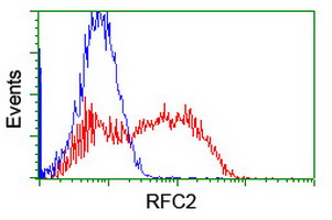 HEK293T cells transfected with either overexpress plasmid (Red) or empty vector control plasmid (Blue) were immunostained by anti-RFC2 antibody, and then analyzed by flow cytometry.