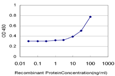 Detection limit for recombinant GST tagged RFC3 is approximately 10 ng/ml as a capture antibody.