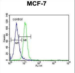 PSG7 Antibody flow cytometry of MCF-7 cells (right histogram) compared to a negative control cell (left histogram). FITC-conjugated goat-anti-rabbit secondary antibodies were used for the analysis.