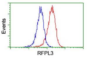 Flow cytometry of Jurkat cells, using anti-RFPL3 antibody (Red), compared to a nonspecific negative control antibody (Blue).