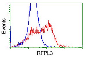 HEK293T cells transfected with either overexpress plasmid (Red) or empty vector control plasmid (Blue) were immunostained by anti-RFPL3 antibody, and then analyzed by flow cytometry.