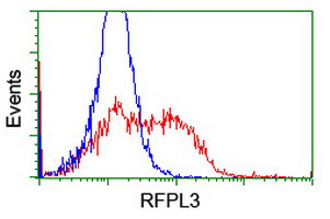 HEK293T cells transfected with either overexpress plasmid (Red) or empty vector control plasmid (Blue) were immunostained by anti-RFPL3 antibody, and then analyzed by flow cytometry.