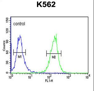 SE6L2 Antibody flow cytometry of K562 cells (right histogram) compared to a negative control cell (left histogram). FITC-conjugated goat-anti-rabbit secondary antibodies were used for the analysis.