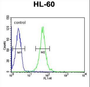 RGR Antibody flow cytometry of HL-60 cells (right histogram) compared to a negative control cell (left histogram). FITC-conjugated goat-anti-rabbit secondary antibodies were used for the analysis.