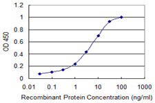 Detection limit for recombinant GST tagged RGS10 is 0.03 ng/ml as a capture antibody.